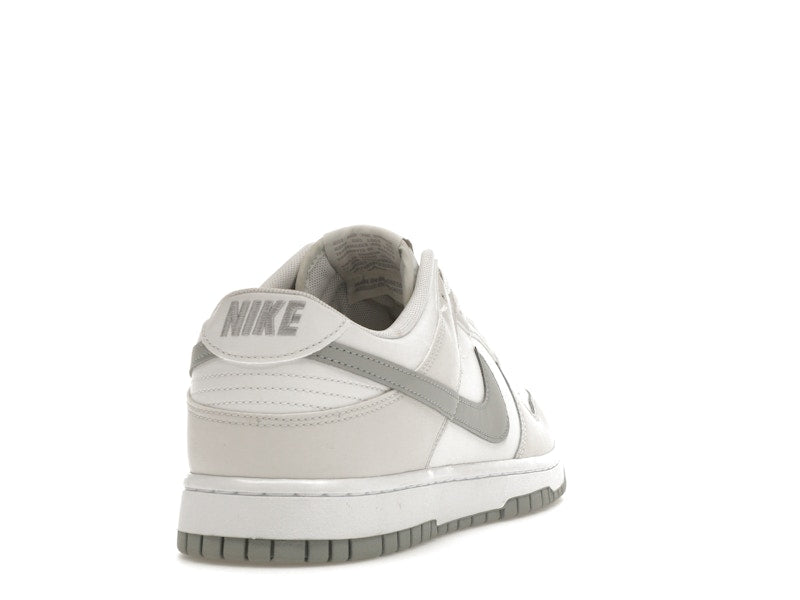 Nike Dunk Low Retro Summit White Light Smoke Grey