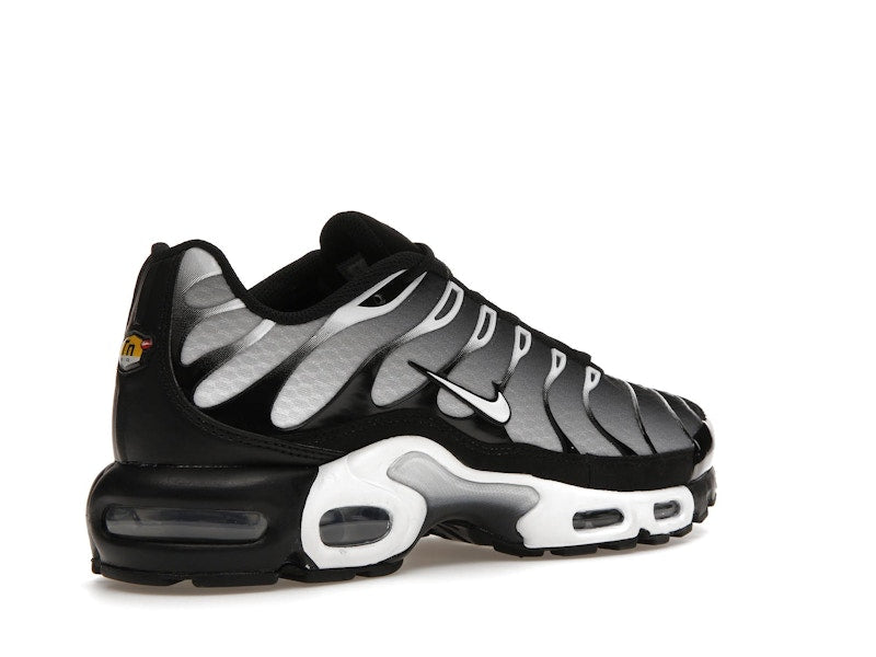 Nike Air Max Plus Black Silver White