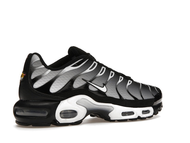 Nike Air Max Plus Black Silver White