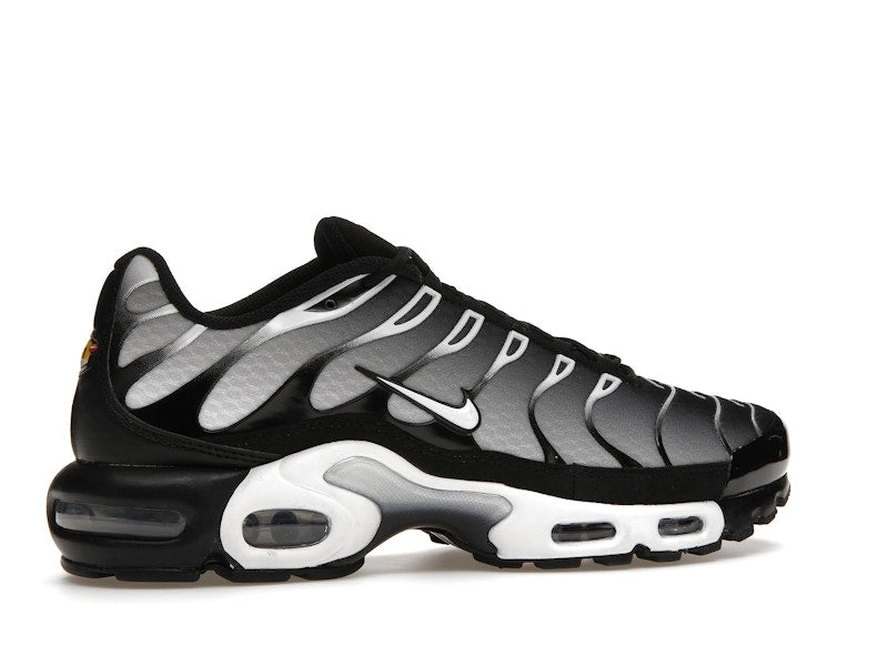 Nike Air Max Plus Black Silver White