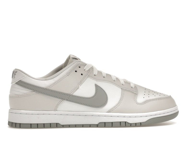 Nike Dunk Low Retro Summit White Light Smoke Grey