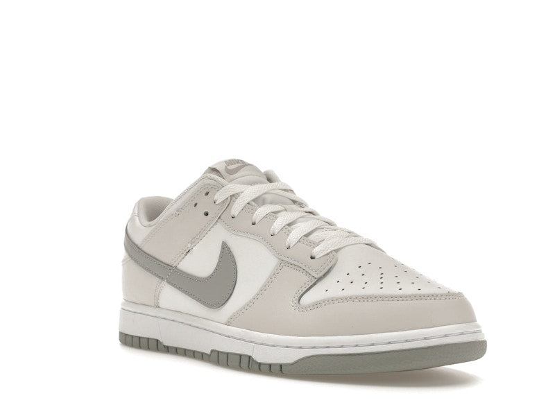 Nike Dunk Low Retro Summit White Light Smoke Grey