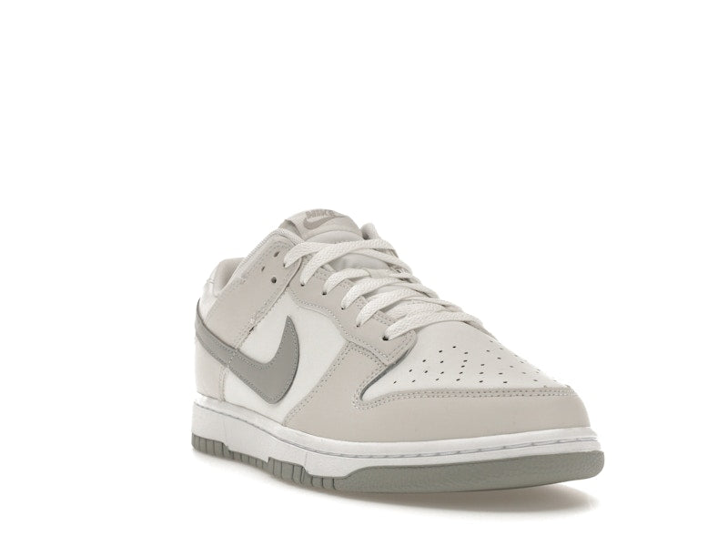 Nike Dunk Low Retro Summit White Light Smoke Grey