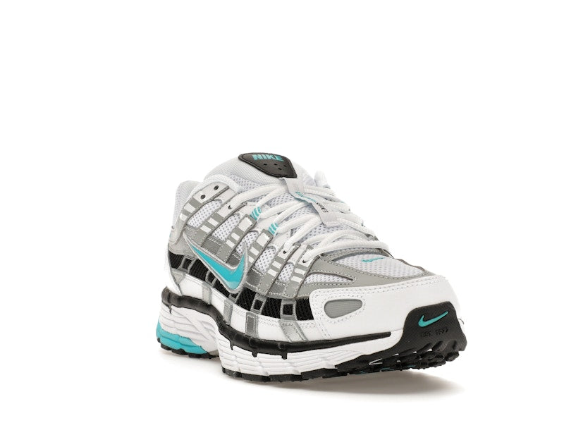 Nike P-6000 Dusty Cactus