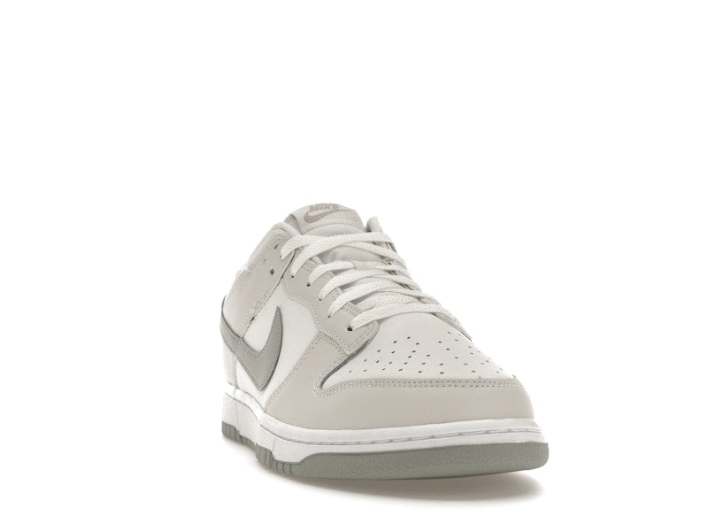 Nike Dunk Low Retro Summit White Light Smoke Grey