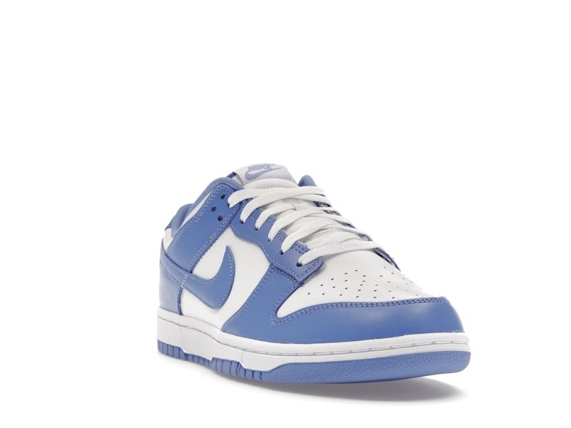 Nike Dunk Low Polar Blue - Nike - OFFseason 衣服 - DV0833 - 400